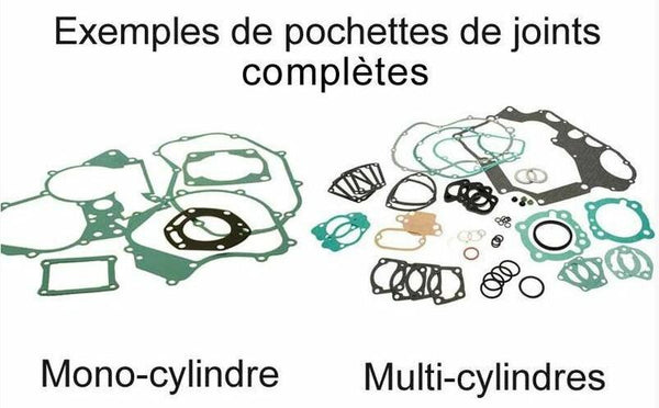 Ensemble de joint moteur complet de Centauro 731a666fl