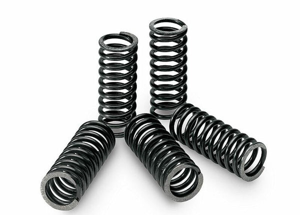 Tecnium Clutch Spring Kit Box van 6 Suzuki DRZ400 1008183