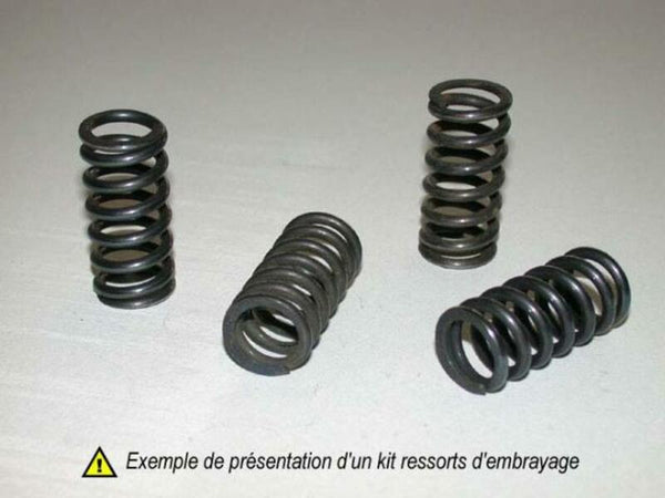 Clutch Spring Kit 501-40-04058