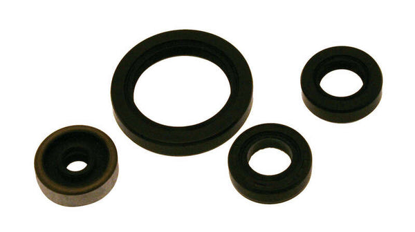 Centauro Oil Seal Set 731A671SR