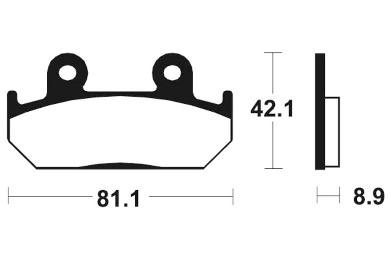 Tecnium Street Organic Brake Parmales - MA93 1022563