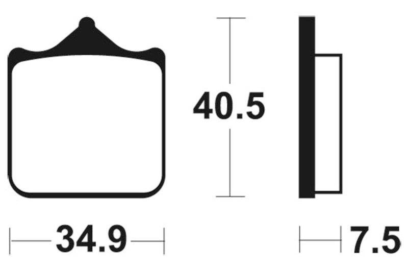 Tecnium Racing Sintered Metal Carbon Rem Remblokken - MCR262 1022586