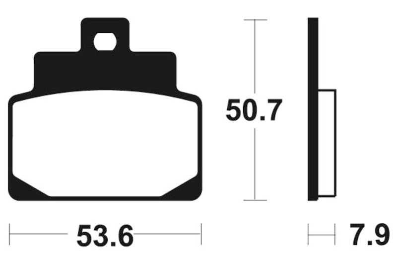 Tecnium Maxi Scooter Sintered Metal Remblokken - MSS248 1023196