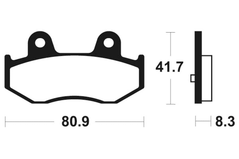 Tecnium Maxi Scooter Sintered Metall Bremsbeläge - MSS281 1023205