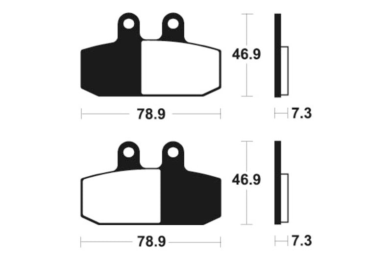 Tecnium Maxi Scooter Sintered Metal Remblokken - MSS293 1023207