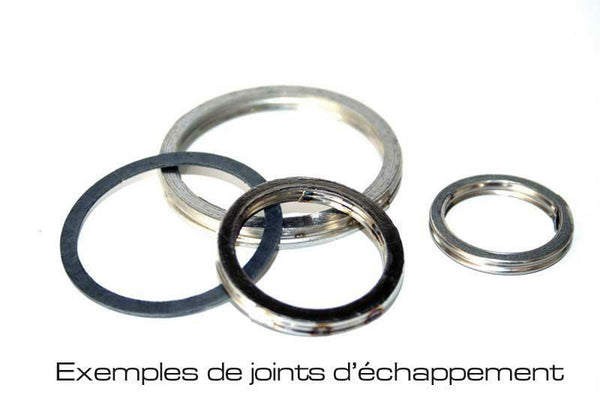 Centauro Exhaust Gasket 666B11007