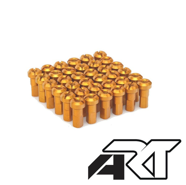 Haan Wheels Geets Set - 36 rayons tr -gold