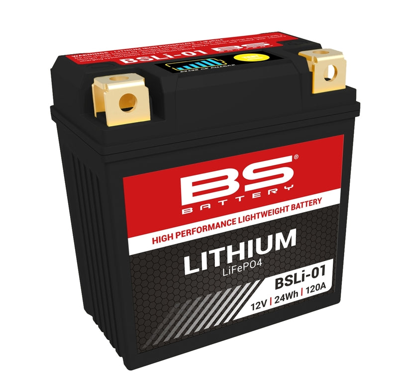 Batterie de batterie BS lithium-ion-bsli-01