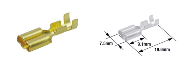 Tourmax Female Terminal Pin Type 250-Brass-100-Pack-ETP-31