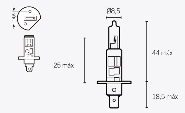V Onderdelen H1 gloeilampen 12V 55W 14636