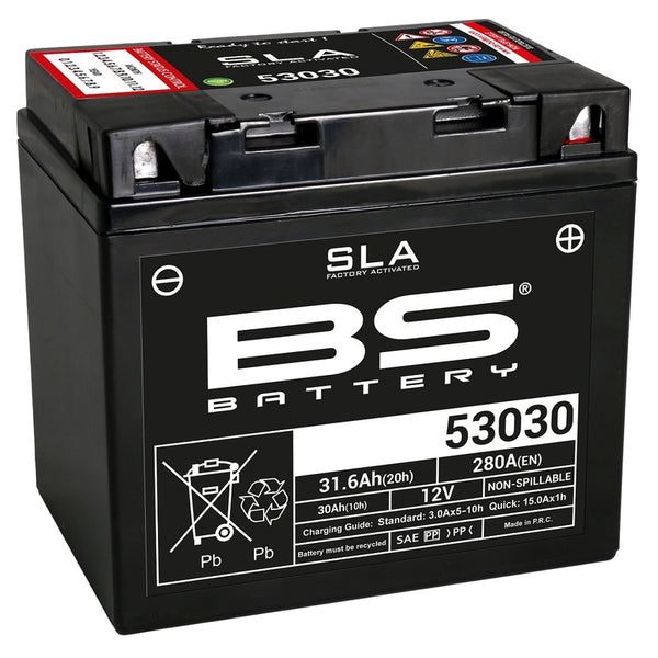 BS Battery SLA wartungsfreies, werkseitig aktiviertes Batterie - 53030 