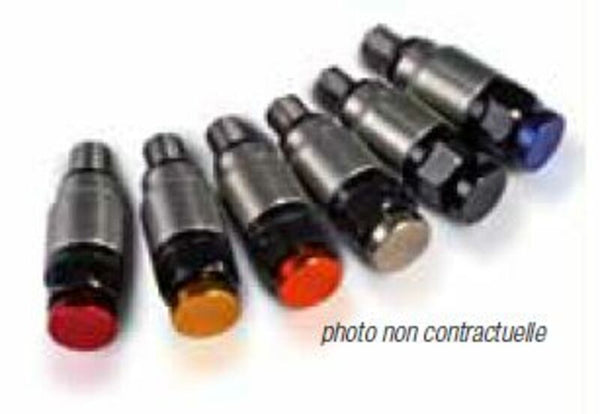 Edelstahldruckfreisetzungsventil für Kayaba/Showa M5X 0,8KY-M05/Blau