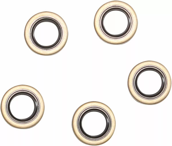 Point de joint comique DBL LIP 5PK C9350