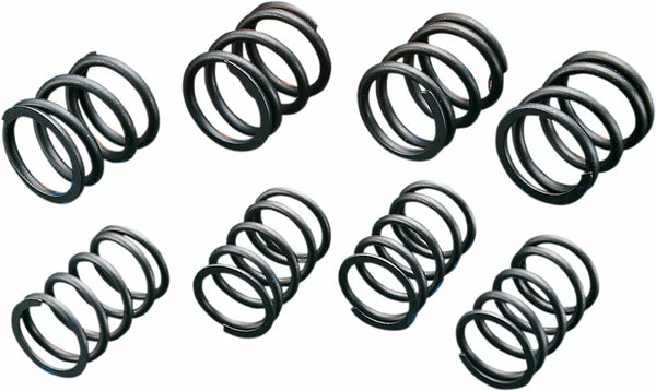 Andrews H-LFT 74/80 Springs 272110
