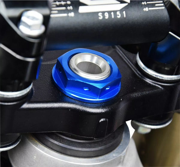 Narbensteuerungsstamm Nuss BL 3.24150N