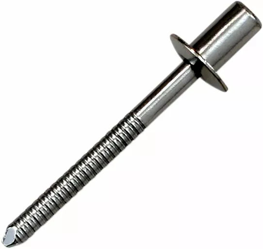 Akrapovic Rived SS D4 8X9 2 CLEAR P-BR10