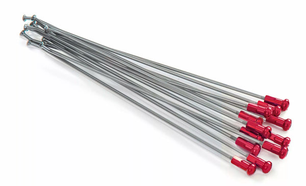 Kite spaken 21fr Si /Re Nip 12pc 20.901.0.ro