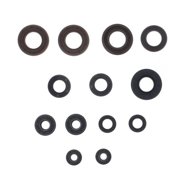 Centauro -oliekeerafdichting Set 556A007SR