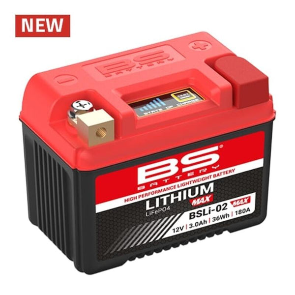 BS Batterie Lithium-Eisen-Phosphat - BSLi-02 MAX 