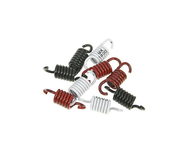Naraku Clutch Spring Kit Sport NK900.43