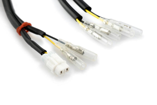 Installation légère de la plaque d'immatriculation pour Kawasaki Z9