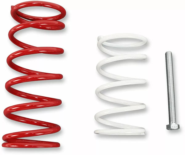 EPI Clutch Kit Economy peut être WE397440