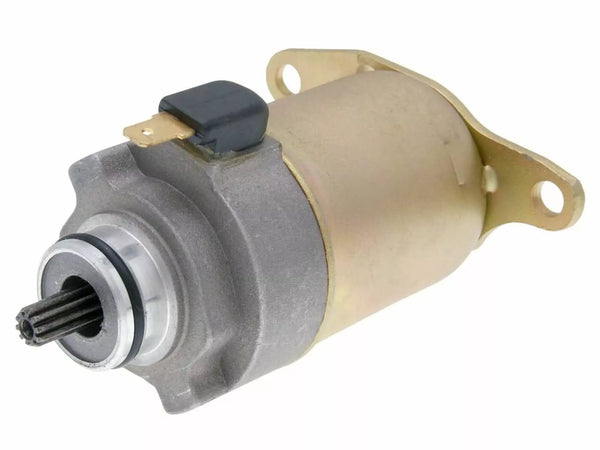 101 Oktan Startermotor IP33169