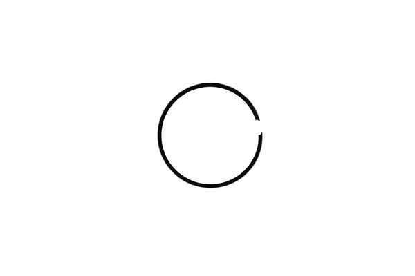 Airsal Ring Set CPI EU2 113002476